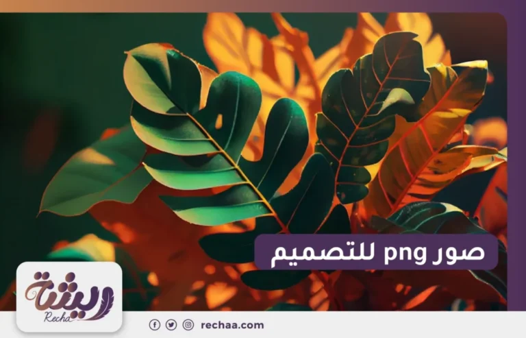 صور png للتصميم