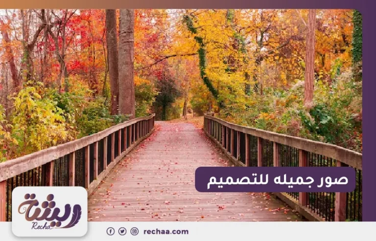 صور جميله للتصميم