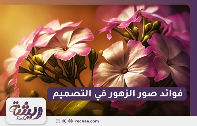 صور زهور للتصميم